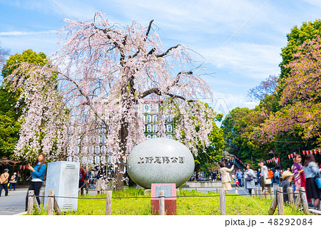 上野恩賜公園 春 東京都台東区上野公園前の入り口 18年3月撮影の写真素材 4984