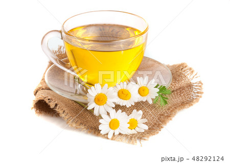 Herbal tea with fresh chamomile flowers on sackcloth isolated on white background Herbal tea with fresh chamomile flowers on sackcloth isolated on white background 48292124