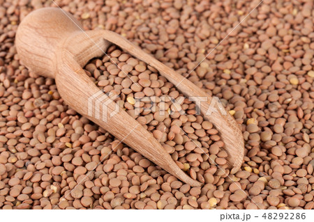 Lentils in a wooden scoop as background Lentils in a wooden scoop as background 48292286