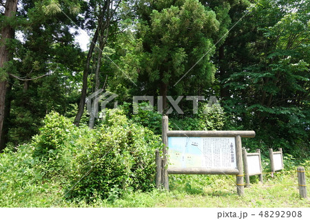 大倉崎館跡（上野の中世館跡） 48292908