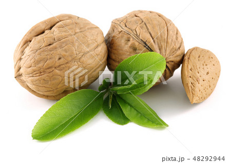 Walnuts and almond with leaves isolated Walnuts and almond with leaves isolated 48292944