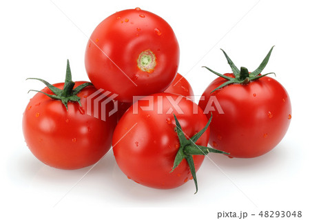 Fresh tomatoes isolated on white 48293048