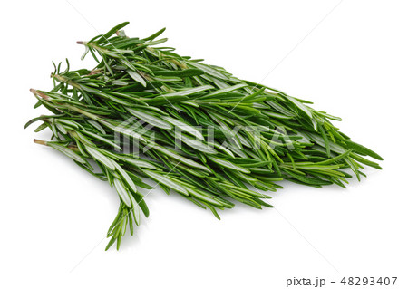 Fresh rosemary isolated on white Fresh rosemary isolated on white 48293407