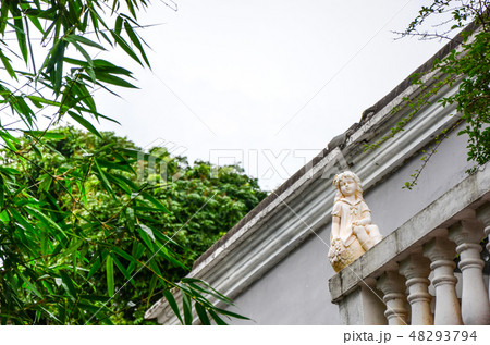 空を眺める天使の像 空を眺める天使の像 48293794