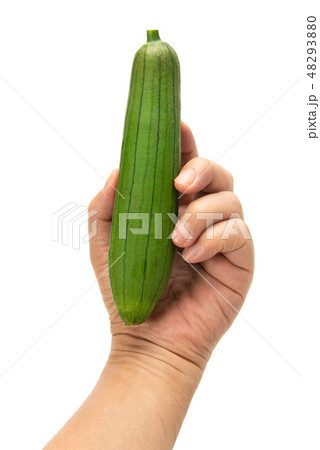 ナーベーラー 48293880