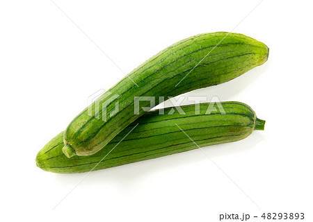 ナーベーラー 48293893