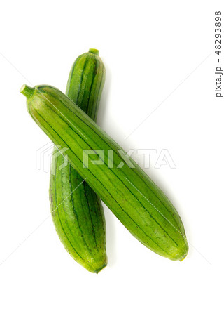 ナーベーラー 48293898