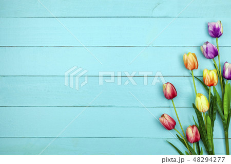 Spring flower of multi color Tulips on wood 48294277