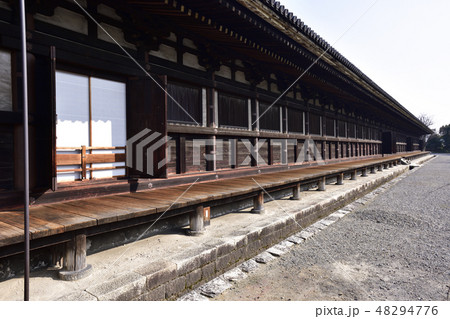 三十三間堂 本堂 三十三間堂 本堂 48294776