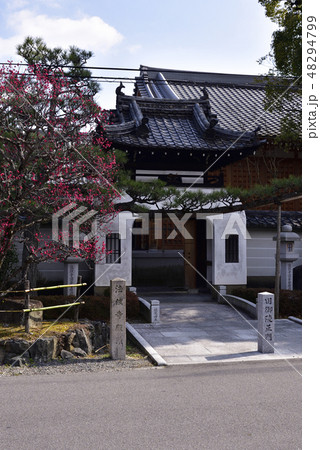 法住寺 竜宮門の紅梅 法住寺 竜宮門の紅梅 48294799