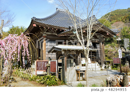 大牟田普光寺観音堂 大牟田普光寺観音堂 48294955
