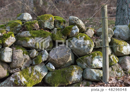 Barbed wire by an old stone wall 48296048