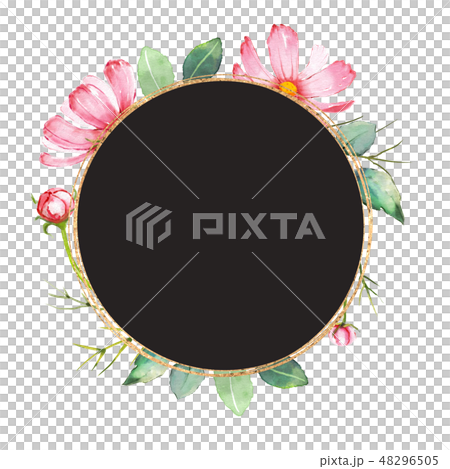 Cosmos flower frame. Cosmos flower frame. 48296505