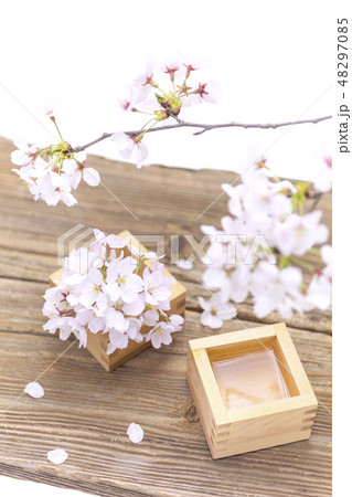 桜の花と升酒 桜の花と升酒 48297085
