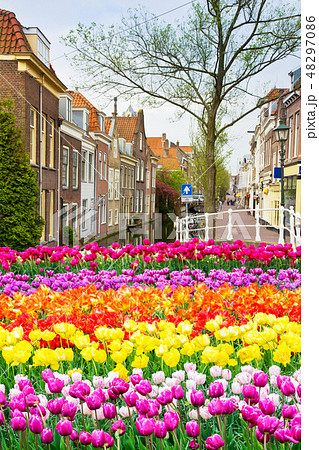 old town, Delft, Holland 48297086