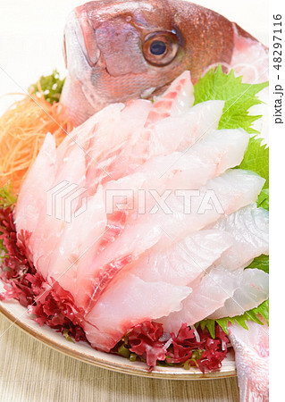 おいしい鯛のお造り おいしい鯛のお造り 48297116
