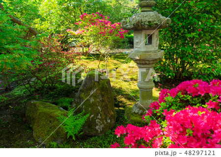 japanese garden in The Hague 48297121