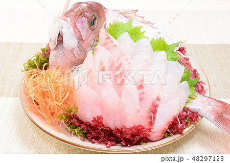 おいしい鯛のお造り おいしい鯛のお造り 48297123