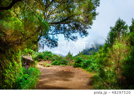 25 Fontes levada on Madeira island, Portugal 48297520