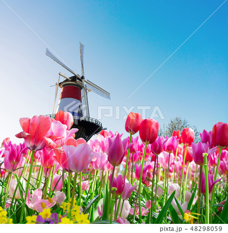 Windmill of Leiden Windmill of Leiden 48298059
