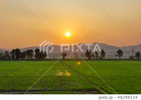 Landscape of Green rice field with mountain Landscape of Green rice field with mountain 48298534