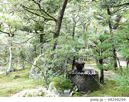大津市坂本 旧竹林院 緑 大津市坂本 旧竹林院 緑 48299296