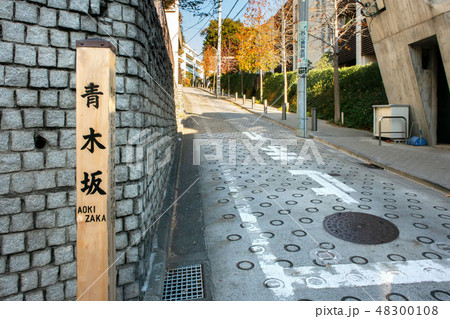 東京都港区南麻布の青木坂 東京都港区南麻布の青木坂 48300108