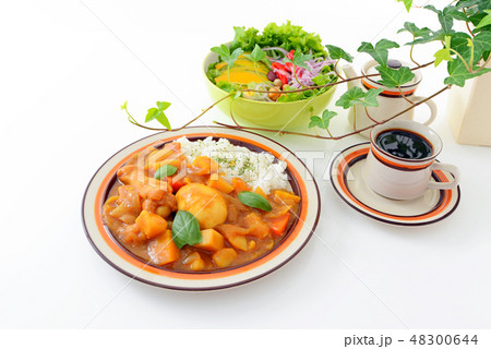 おいしそうなカレーライス おいしそうなカレーライス 48300644