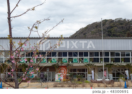 保田小学校 保田小学校 48300691