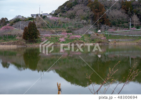 佐久間ダム湖親水公園 佐久間ダム湖親水公園 48300694