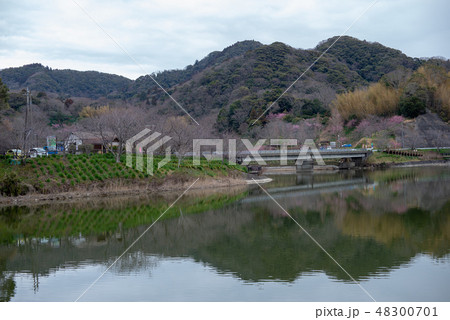 佐久間ダム湖親水公園 佐久間ダム湖親水公園 48300701