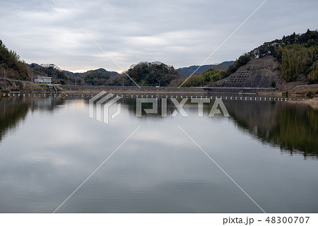 佐久間ダム湖親水公園 48300707
