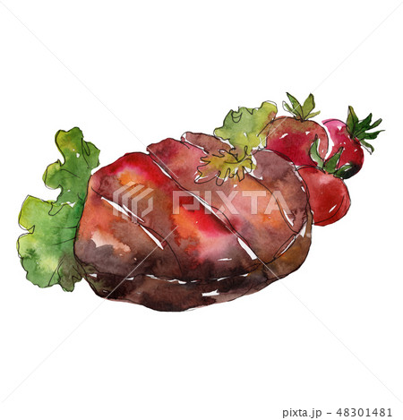 Grilled steak tasty food in a watercolor style set. Aquarelle food illustration for background Grilled steak tasty food in a watercolor style set. Aquarelle food illustration for background 48301481