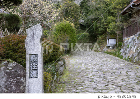 萩往還 萩往還 48301848