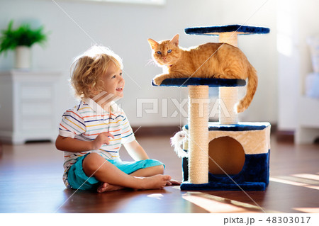 Child playing with cat at home. Kids and pets. Child playing with cat at home. Kids and pets. 48303017