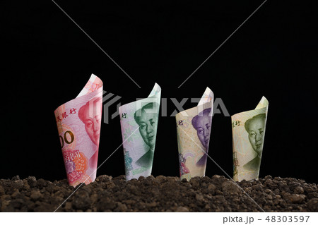 Bank notes rolled around on soil for business 48303597