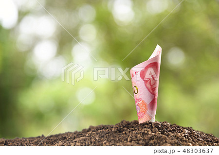 Bank notes rolled around on soil for business 48303637