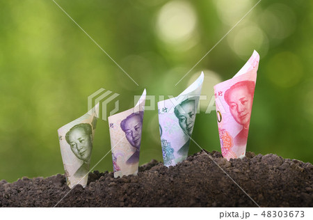 Bank notes rolled around on soil for business 48303673