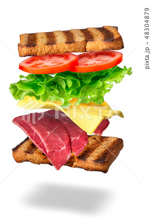 sandwich with flying ingredients 48304879