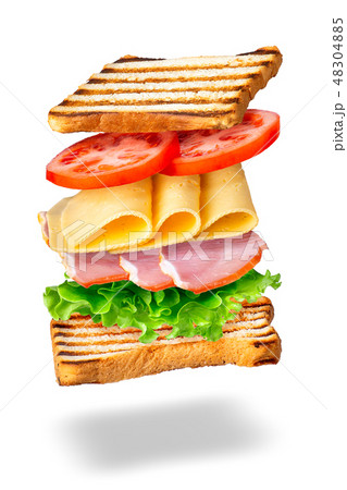 sandwich with flying ingredients 48304885