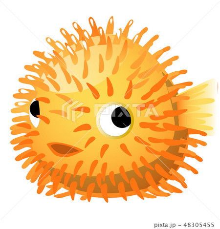 Funny toy in the form of rubber fish with spikes isolated on white background. Vector cartoon close Funny toy in the form of rubber fish with spikes isolated on white background. Vector cartoon close 48305455