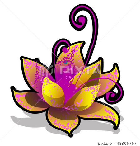 Fancy flower isolated on white background. Vector cartoon close-up illustration. Fancy flower isolated on white background. Vector cartoon close-up illustration. 48306767