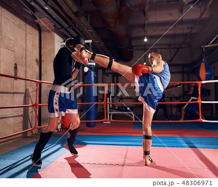 Boxers training kickboxing in the ring at the health club 48306971