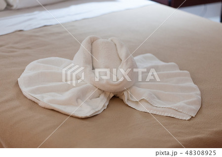 Towels decorated figures of swan in hotel room 48308925