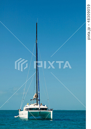 Yacht - Catamaran in the tropical sea 48309059