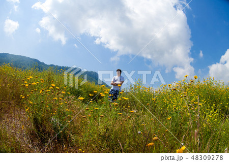 Young man in a chamomile field stands posing Young man in a chamomile field stands posing 48309278
