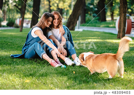 Two female friend in the park play with little dog Two female friend in the park play with little dog 48309403