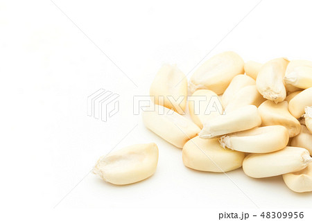 チュルペ コーン　トスタード　ポップデントコーン　Chulpe Tostado 48309956