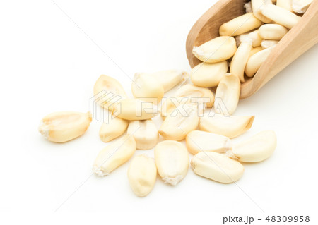 チュルペ コーン　トスタード　ポップデントコーン　Chulpe Tostado 48309958