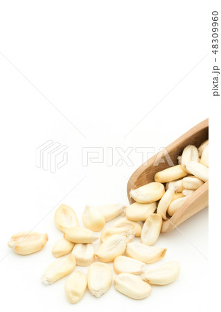 チュルペ コーン トスタード ポップデントコーン Chulpe Tostado チュルペ コーン トスタード ポップデントコーン Chulpe Tostado 48309960